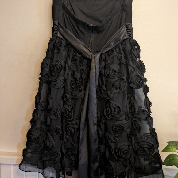 Unique rosette mesh dress.  Sz 10 - Picture 4 of 7